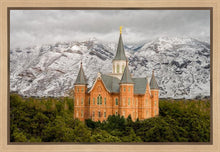 Load image into Gallery viewer, Provo Lifting Storm
