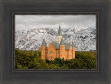 Load image into Gallery viewer, Provo Lifting Storm
