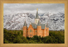 Load image into Gallery viewer, Provo Lifting Storm
