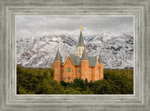 Load image into Gallery viewer, Provo Lifting Storm
