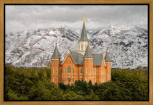 Load image into Gallery viewer, Provo Lifting Storm
