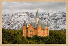 Load image into Gallery viewer, Provo Lifting Storm
