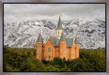 Load image into Gallery viewer, Provo Lifting Storm
