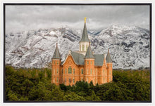 Load image into Gallery viewer, Provo Lifting Storm
