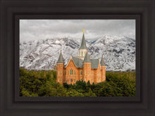Load image into Gallery viewer, Provo Lifting Storm
