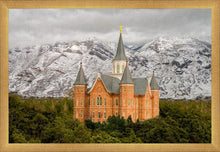 Load image into Gallery viewer, Provo Lifting Storm
