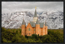 Load image into Gallery viewer, Provo Lifting Storm
