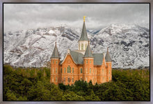 Load image into Gallery viewer, Provo Lifting Storm
