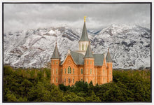 Load image into Gallery viewer, Provo Lifting Storm
