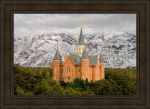 Load image into Gallery viewer, Provo Lifting Storm
