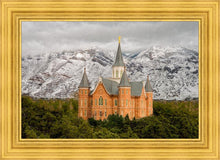 Load image into Gallery viewer, Provo Lifting Storm
