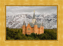 Load image into Gallery viewer, Provo Lifting Storm
