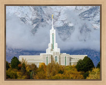 Load image into Gallery viewer, Mt. Timpanogos Hillside
