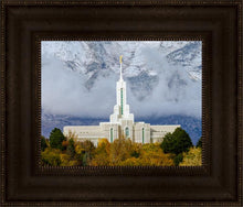 Load image into Gallery viewer, Mt. Timpanogos Hillside
