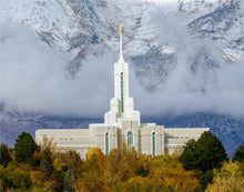 Load image into Gallery viewer, Mt. Timpanogos Hillside
