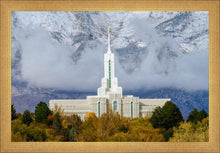 Load image into Gallery viewer, Mt. Timpanogos Hillside
