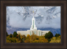 Load image into Gallery viewer, Mt. Timpanogos Hillside

