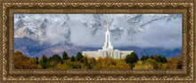 Load image into Gallery viewer, Mt. Timpanogos Hillside
