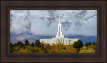 Load image into Gallery viewer, Mt. Timpanogos Hillside
