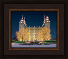 Load image into Gallery viewer, Holy Night
