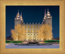 Load image into Gallery viewer, Holy Night
