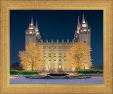 Load image into Gallery viewer, Holy Night
