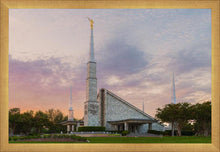 Load image into Gallery viewer, Dallas 01
