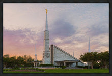 Load image into Gallery viewer, Dallas 01
