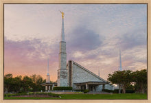 Load image into Gallery viewer, Dallas 01
