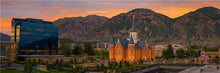 Load image into Gallery viewer, Provo CC Nightfall
