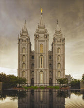 Load image into Gallery viewer, Salt Lake Shelter from the Storm
