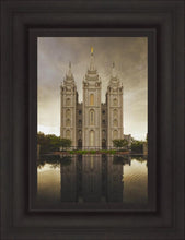 Load image into Gallery viewer, Salt Lake Shelter from the Storm
