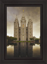 Load image into Gallery viewer, Salt Lake Shelter from the Storm
