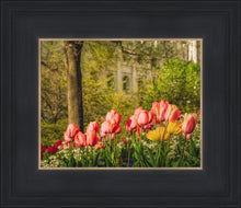 Load image into Gallery viewer, Salt Lake In The Garden

