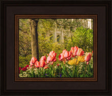 Load image into Gallery viewer, Salt Lake In The Garden
