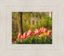 Load image into Gallery viewer, Salt Lake In The Garden
