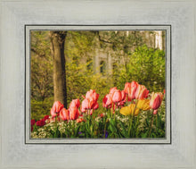 Load image into Gallery viewer, Salt Lake In The Garden
