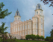 Load image into Gallery viewer, Manti 02
