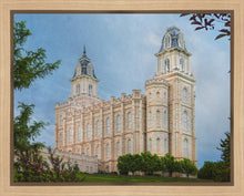 Load image into Gallery viewer, Manti 02
