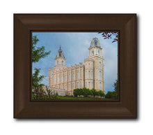 Load image into Gallery viewer, Manti 02
