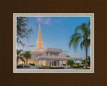 Load image into Gallery viewer, Orlando 02
