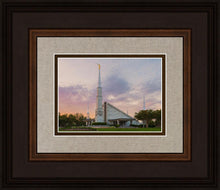 Load image into Gallery viewer, Dallas 01
