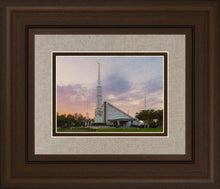 Load image into Gallery viewer, Dallas 01
