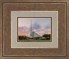Load image into Gallery viewer, Dallas 01
