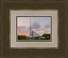 Load image into Gallery viewer, Dallas 01
