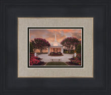 Load image into Gallery viewer, Raleigh Splendor
