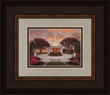 Load image into Gallery viewer, Raleigh Splendor
