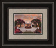 Load image into Gallery viewer, Raleigh Splendor

