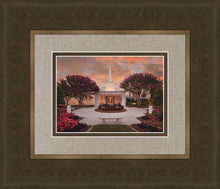 Load image into Gallery viewer, Raleigh Splendor
