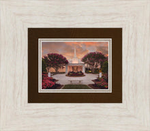 Load image into Gallery viewer, Raleigh Splendor
